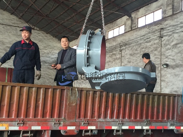 真空压力释放阀